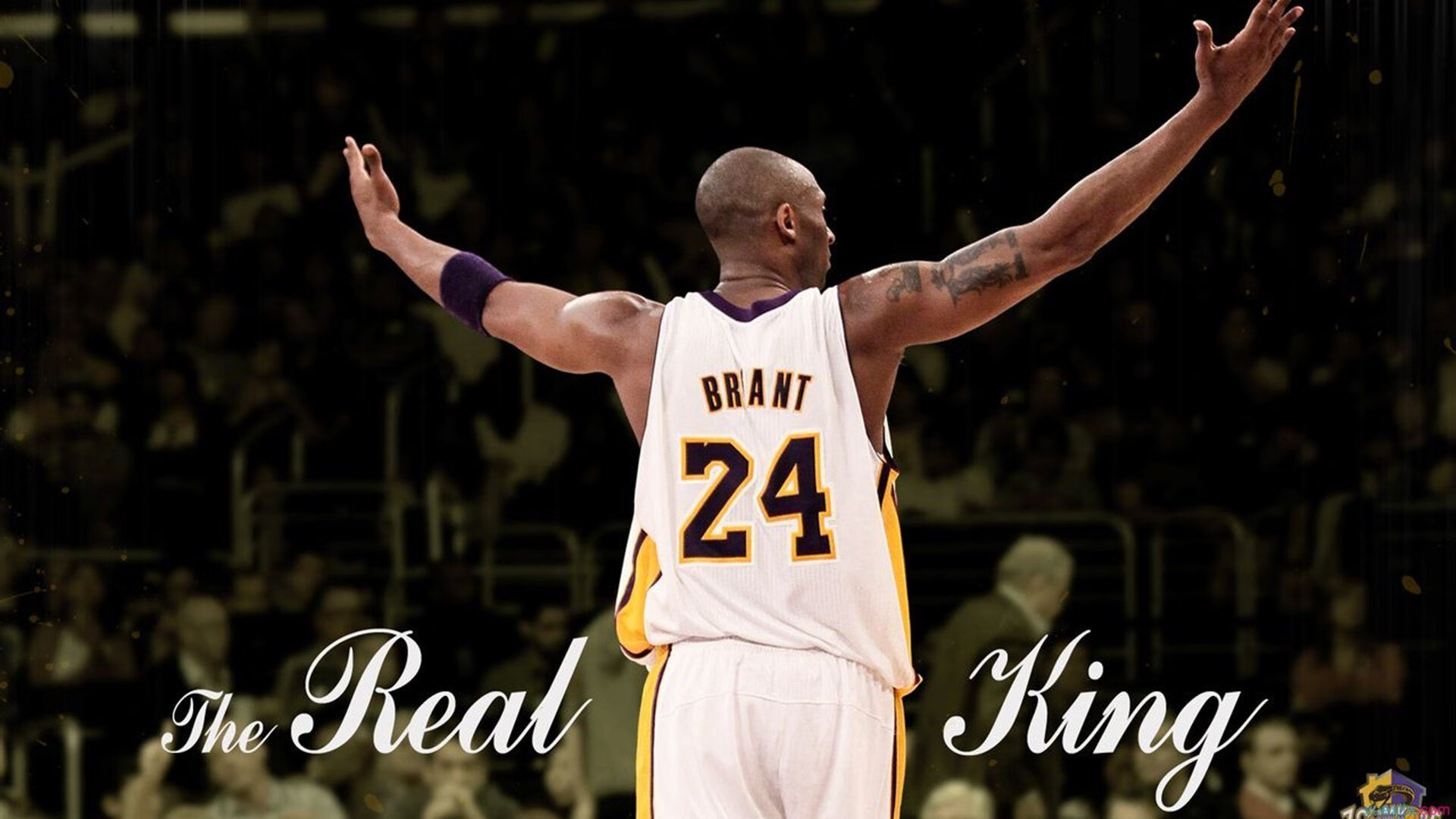 新王当立！皮亚斯特里率红牛二队史诗翻盘，围场格局一夜颠覆